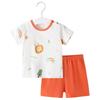 Shubeyibei Baby Summer Cotton Short Sleeve & Shorts Set