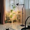 Folding Full Spectrum Floor Lamp for Plant Growth - Ideal for Succulents, Flowers, and Herbs