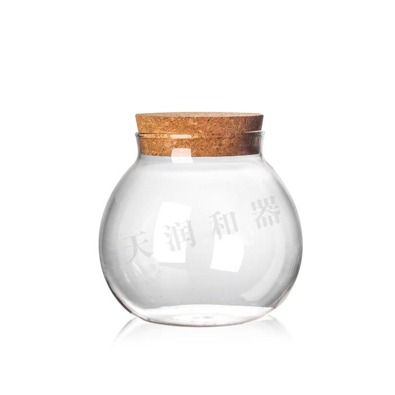 Glass Tea Canister with Cork Stopper - Sealed, Moisture-Proof Storage Jar for Candy or Flowers