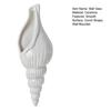 Muschel Wandvase Modern Weiß Muschel Keramikvase Wandmontierter Blumenhalter für Wohnzimmer Schlafzimmer Blumengesteck