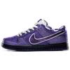 X CONCEPTS Dunk SB Фіолетовий Лобстер Середні Скейтбордичні Кросівки Унісекс Фіолетовий Спеціальна Подарункова Коробка BV1310-555(S-BOX)