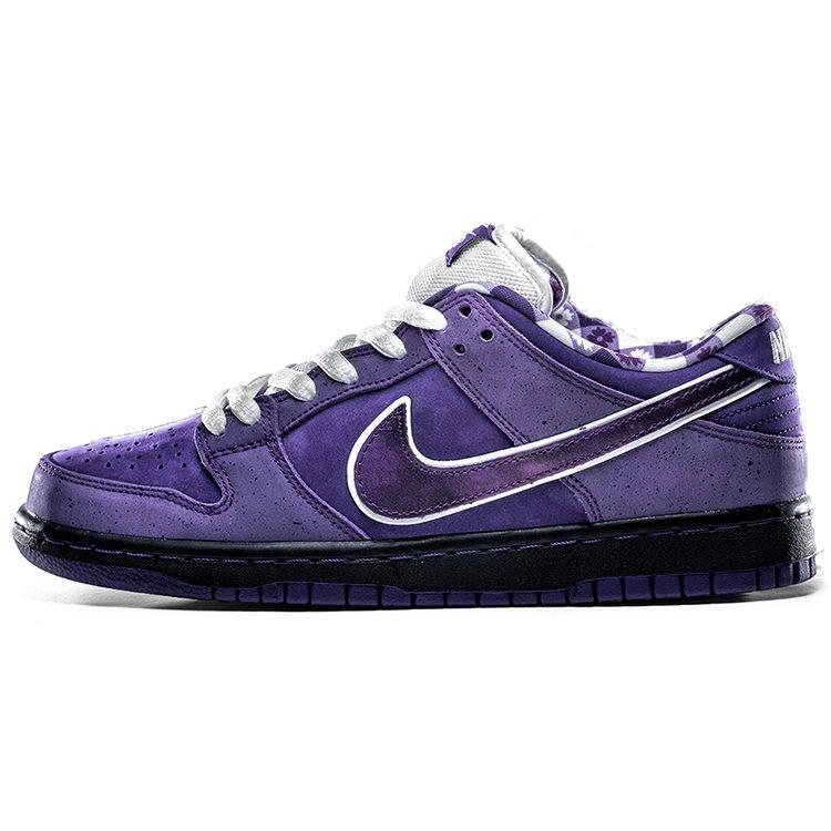 Nike x CONCEPTS Dunk SB Purple