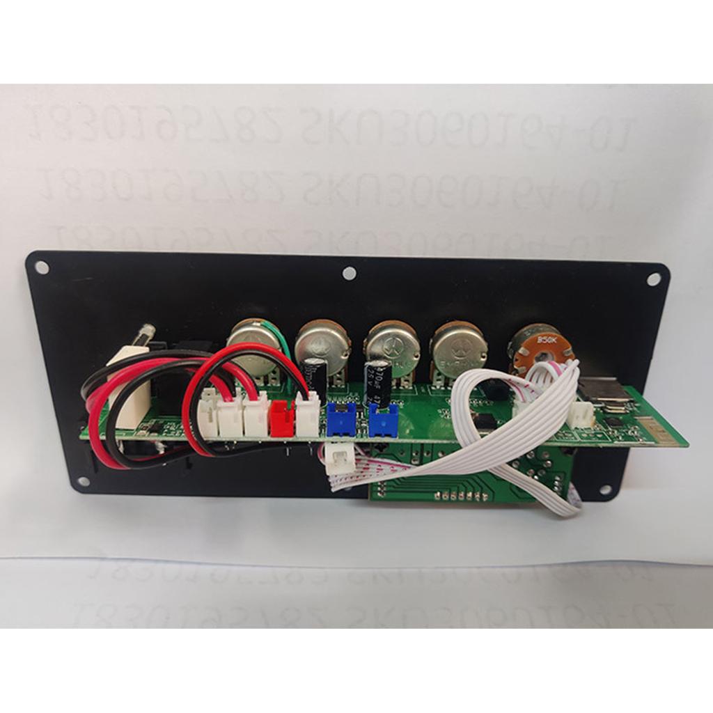 Power Amplifier Board 30W-120W DIY Speakers USB Radio Player Subwoofer Receiver Power Amplifier Modules