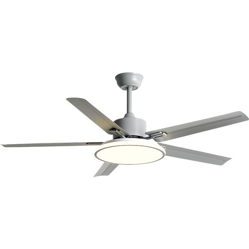 Modern Minimalist Ceiling Fan with Five Stainless Steel Blades, LED Light, Low Noise, and Frequency Conversion for Living Room or Dining Room.