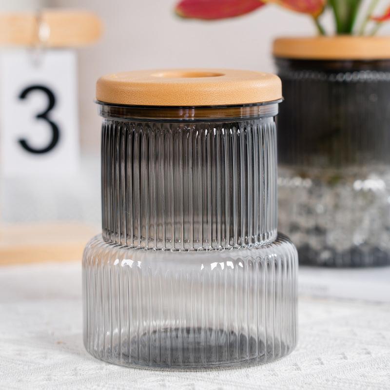 Transparent Hydroponic Vase Automatic Water Absorption Plant Pot For Home & Office