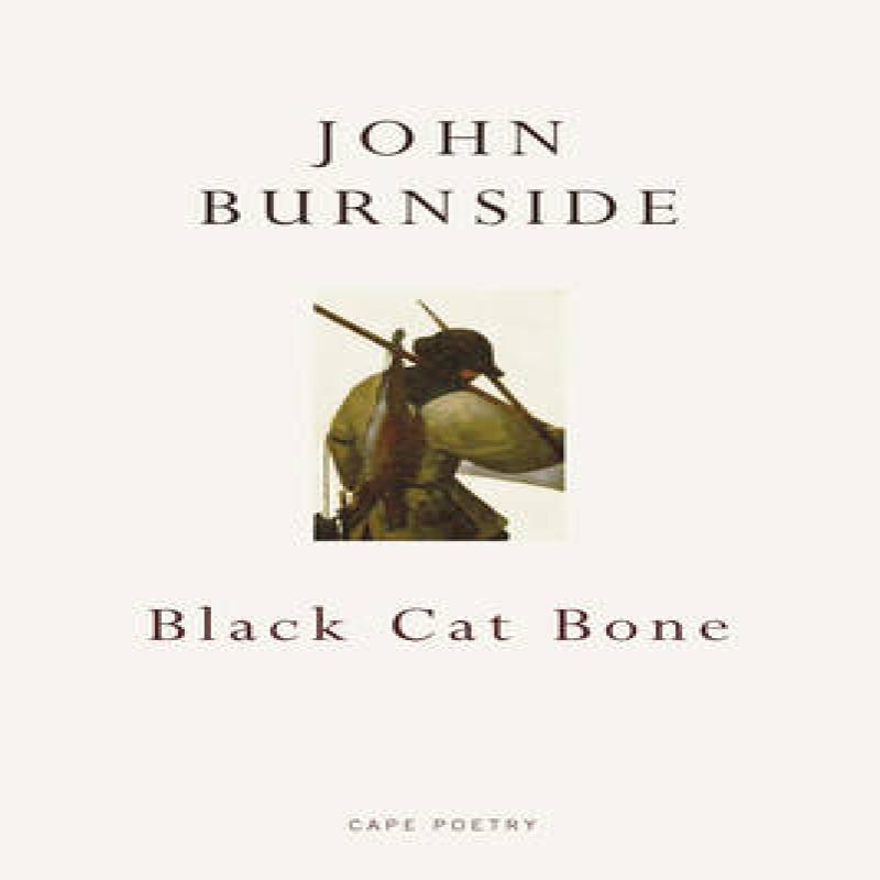 Black Cat Bone by John Burnside Paperback Book 9780224093859