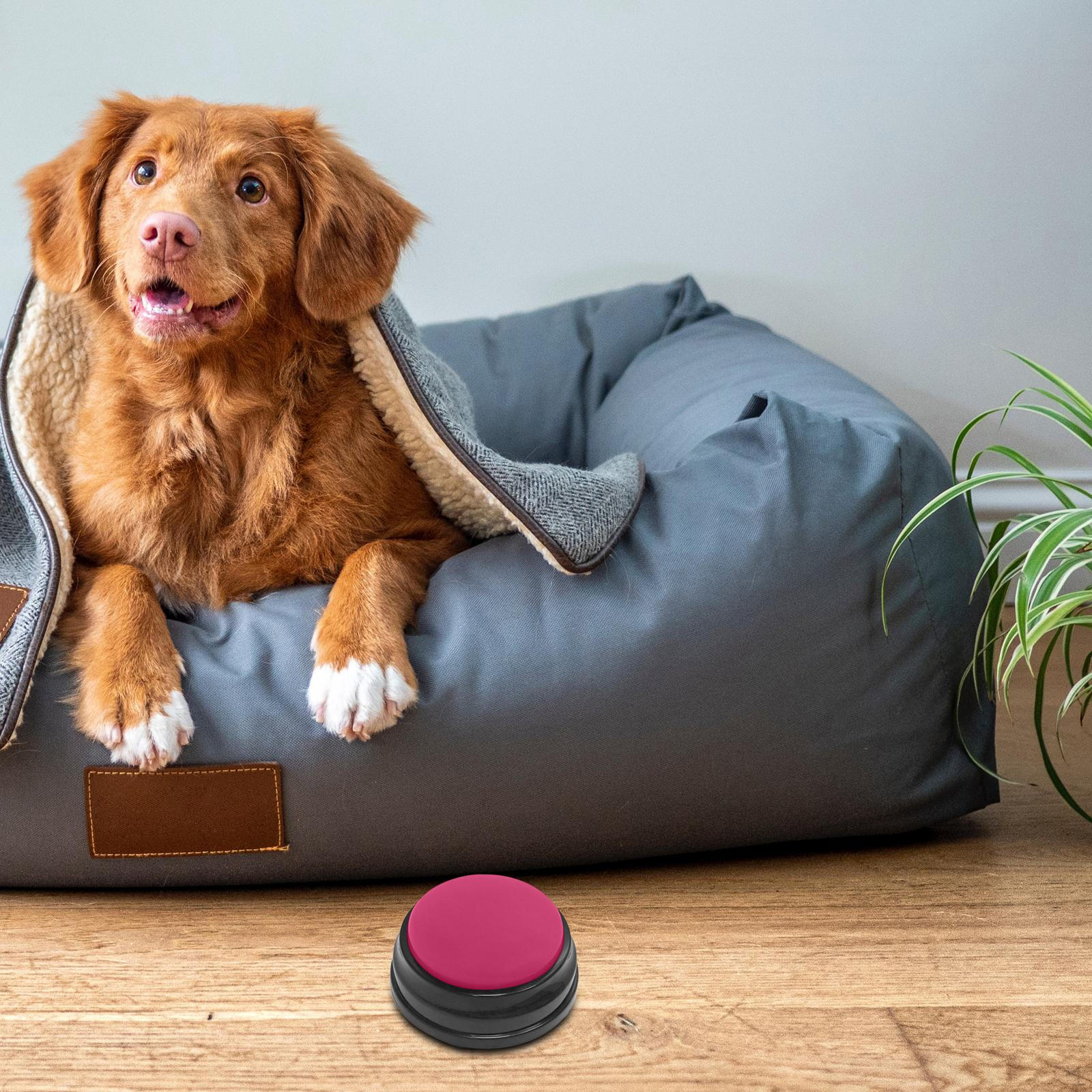 Recordable Sound Button Communication Interactive Toy Voice Recording for Pet Training Rose Red