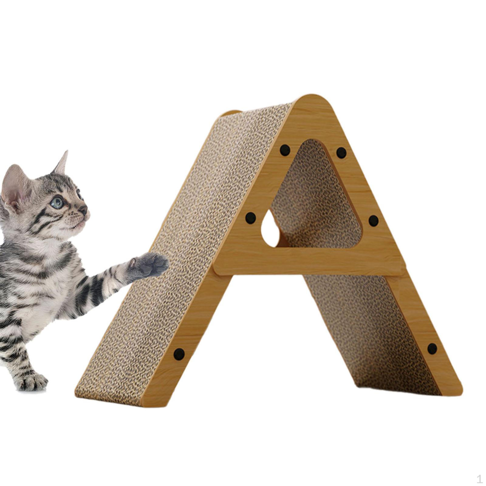 Cat for Feline Fun A type
