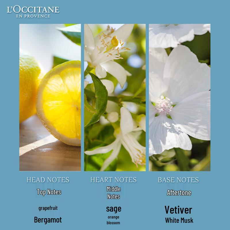 L'Occitane Scented Body Soaps