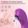 Sucking Dildo Vibrator Female G Spot Clitoris Sucker Vacuum Stimulator Adult Goods Vibrating Massager Sex Toy for Women