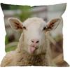 HGOD DESIGNS Bee Pillow Cover,Decorative Pillow Bees Watercolour Drawing Pillow Cases Cotton Linen Outdoor Indoor Square Cushion Covers for Home Sofa
