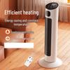 Electric Fan Heater with Remote Control