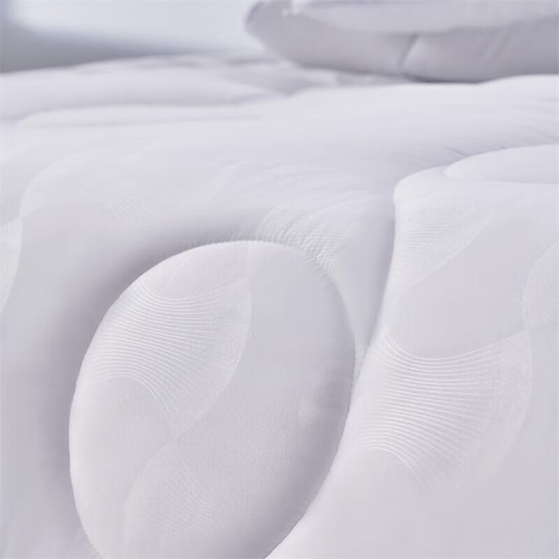 Mercury Home Textiles Antibakterielle Ganzjahresdecke