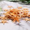 100Pcs/pack New Simulation Natural Starfish Micro Landscape DIY Hanging Photo Frames Candles Beach Handicrafts Home Decoration
