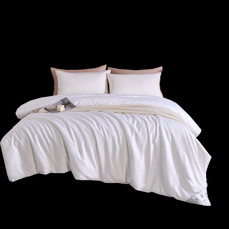 Baiweisi BWS-BZ6368 Tussah Silk Blend Quilt