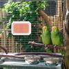 Safe Anti Bite Bird Cage Heater No Light Metal Chew-Proof Wire Warming Heat Lamp Quickly Warm Energy Efficient Bird Warmer Snake