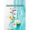 Crest Dual Color Lock Whitening Toothpaste