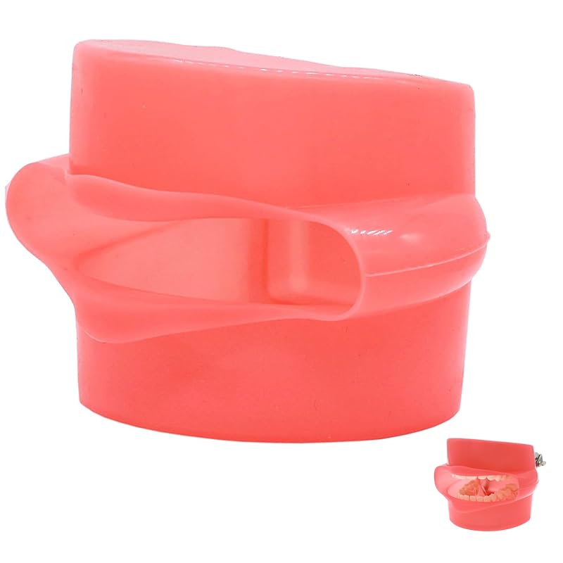 

Модель зубів імітує щоки, штучні щоки підходять для встановлення моделі зуба Simulation Cheek