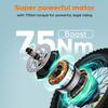 ENGWE Folding Electric Bicycle, 48V 13.5Ah Battery, Range Up To 120km, Foldable Design, All-terrain Application, EP-2 3.0 Boost