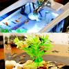 Office Decoration Fish Tank Clock Night Light Usb Mini Goldfish Bowl Table Lamp Small Multifunctional Ecological Aquarium