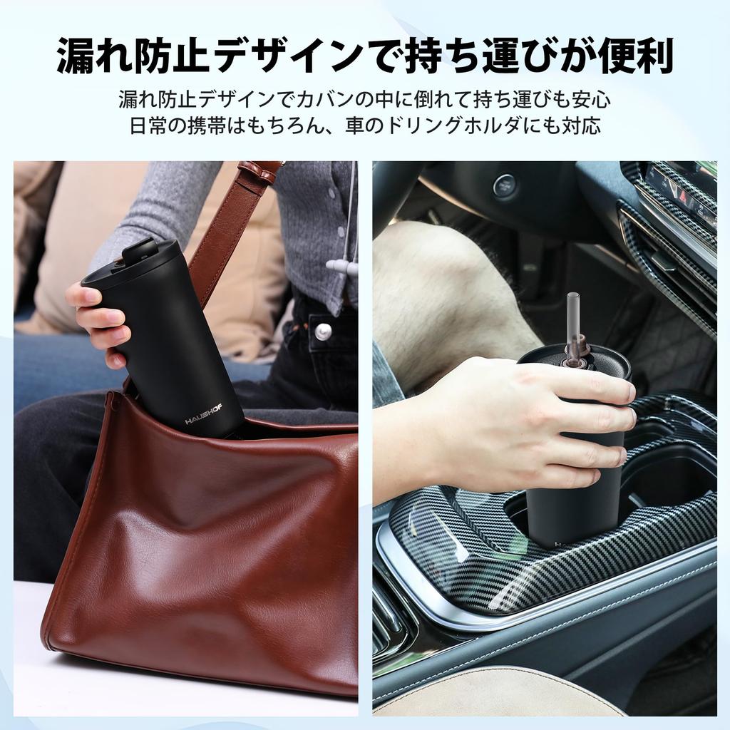 HAUSHOF Vacuum Insulated Tumbler with Straw and Direct Drinking Insulated Water Stainless Steel Convenience Store Car Outdoor Gift for Birthday