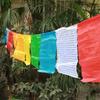 Colorful Prayer Flags Do Not Move The Buddha Flag/Auspicious Prayer Flags Wind Horse Flags with A Length of 5 Meters Silk Cloth