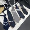 Accesorii – Cravate, papioane, gulere și manșete