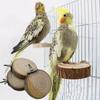Parrot Bird Cage Platform Natural Wood Durable Round Stand for Parrot Cockatiel Hamster Multi Size Chew Toy Climbing Eco Friendl