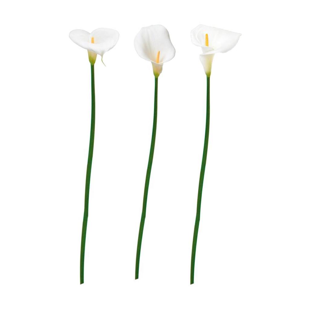 Les Trésors De Lily [Q0608] - White 'Arums' Sticker Sheet - 20x70 Cm