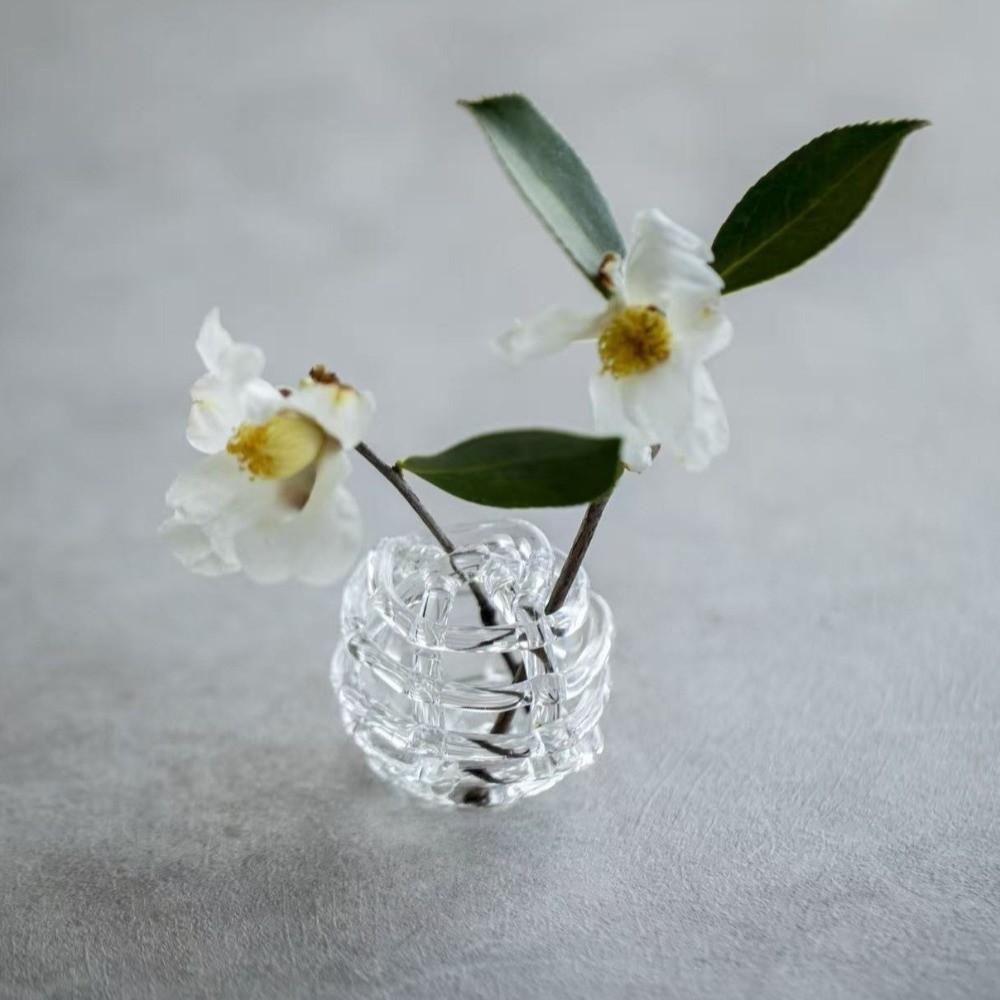 Transparent Glass Ball Vase Zen-Inspired Design Hydroponic Flower Vase Flower Arrangement