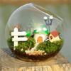 Oblique Clear Glass Ball Vase Transparent Plant Terrarium Succulents Plant Container  Home Decor