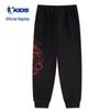 Jordan Boys' New Year Collection Casual Knit Pants