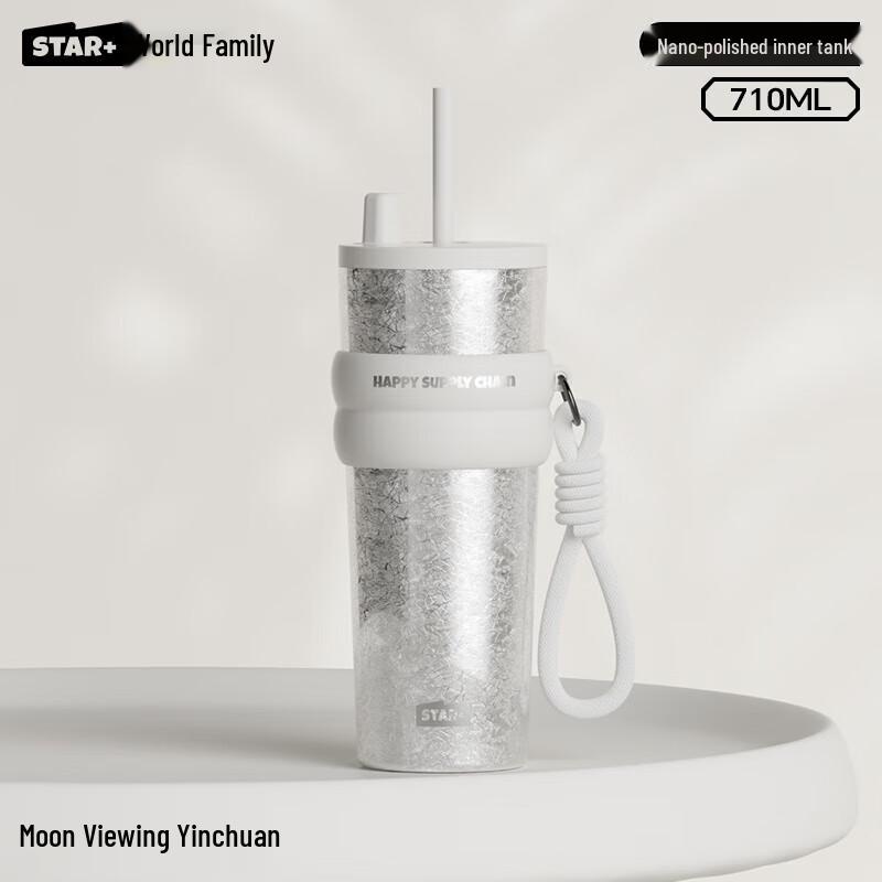 Shidajia Aurora Starry Night Insulated Straw Tumbler