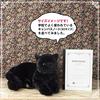Ninian & Kino Lying-Down Kitty Black Cat (Adult Cat) - Approx. 63cm In Length - Realistic Plush Toy Cat - Looks Just Like the Real Thing
