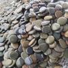 Flat Smooth Pebbles Art Painting River Rocks Natural Stones for Crafts DIY Art Supplies Garden Decoration