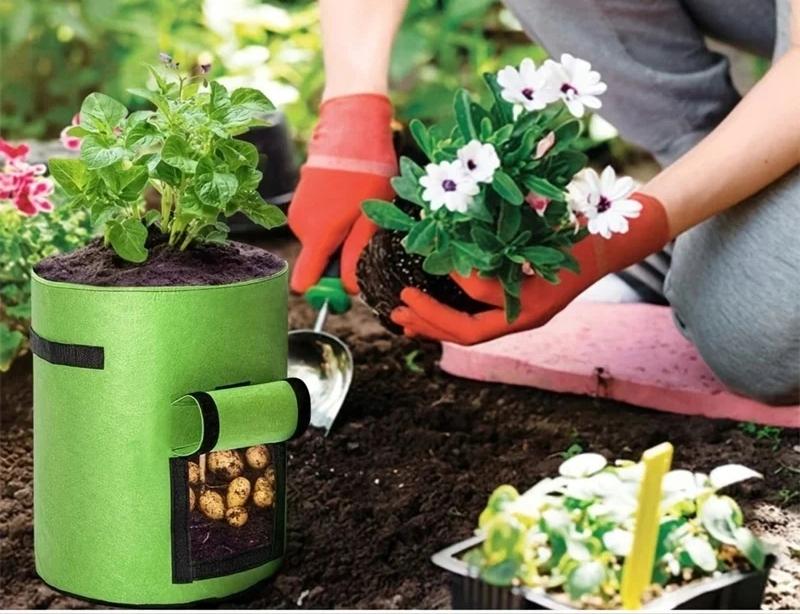 Pot Bag Bag Potatoes Carrots Vegetables Pocket For Growing Xxl 38L