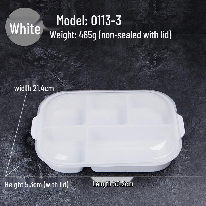 Melamine Divided Dinner Plate with Lid