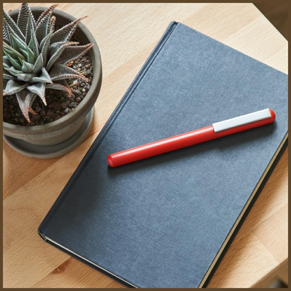 Lexon C-Pen Pen with USB-C32GB Flash Drive Dark Red LS101DR