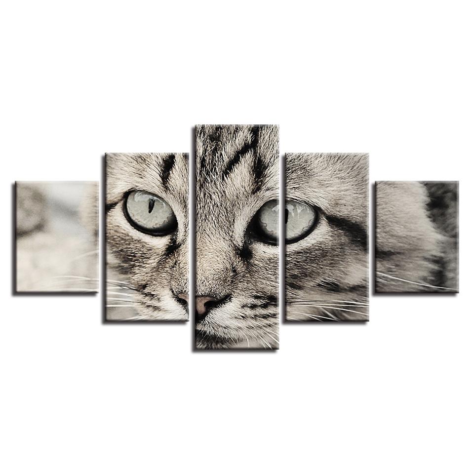 Cat's Big Eyes 5pcs Modern Home Wall Decor CanvasPicture Art HD Print Painting On Canvas for Living Room No Framed