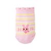 [MIKIHOUSE HOT BISCUITS] [MIKIHOUSE HOT BISCUITS] Low-cut sock pack for boys, girls, babies, children's clothing 74-9635-688