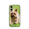 for Samsung Galaxy S25 S24 S22 S23 FE Ultra Plus A56 A05 A06 A15 A16 A55 S7 Edge Cover Case Yorkshire Terrier Yorkie Dog Pet