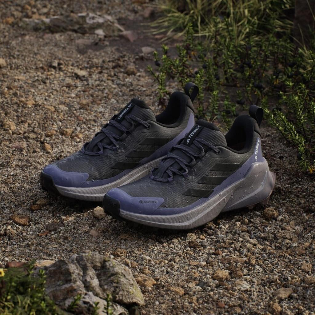 Hiking Shoes Adidas Trailmaker 2 0 GORE-TEX Hiking Shoe Carbon Black Violet