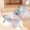 Cat Bed Raised Pet Creative Hemispherical Furniture Comfortable with Sturdy Legs Nordic