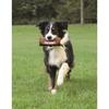 TRIXIE Dog Activity Preydummy Jouet Pour Chien Ø 6 × 14 Cm