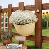 Imitation Flower Pot Garden Flower Pot Flower Pot Wall Hanging Plant Planting Pot Basket Courtyard Balcony Garden Supplies