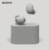 SONY WF-1000XM6 True Wireless Noise-Cancelling Earbuds