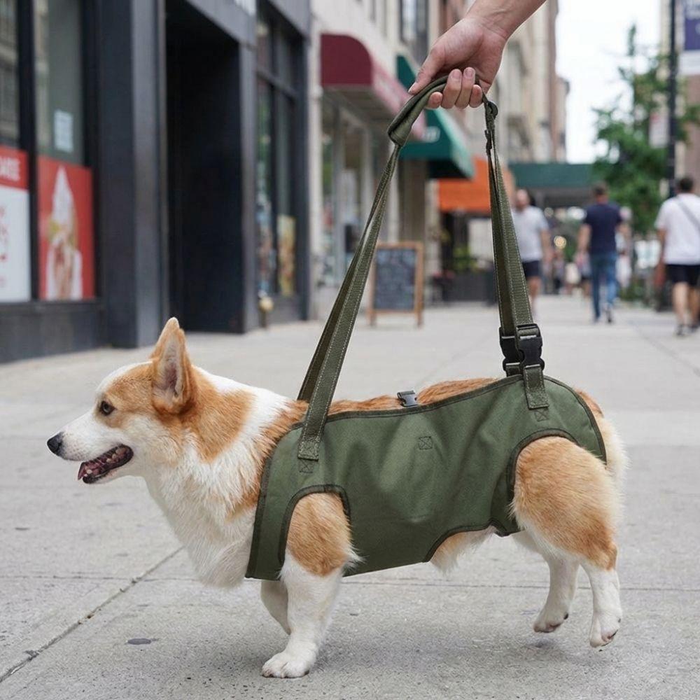 Adjustable Pet Auxiliary Vest Soft Lining Full Body Support Support Harness Thicken Handle Mobility Aid Dog Chest Back Leash