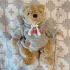 [USED] Rare Item! Cornell University Teddy Bear