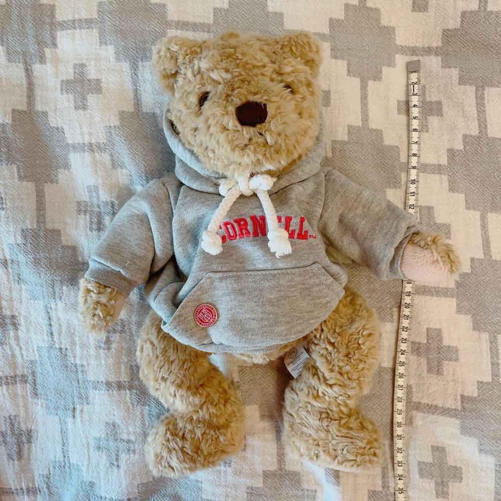[USED] Rare Item! Cornell University Teddy Bear