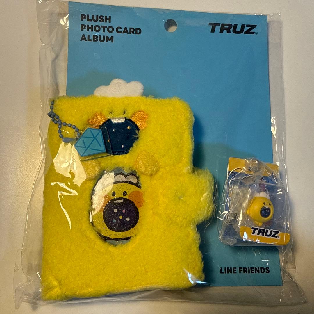 [USED] TRUZ PKOTO CARD ALBUM PODONG ver.